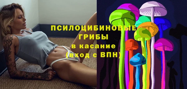 прущий лед Алексин