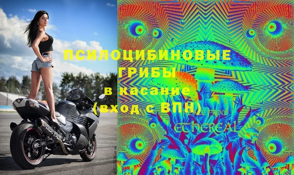 прущий лед Алексин