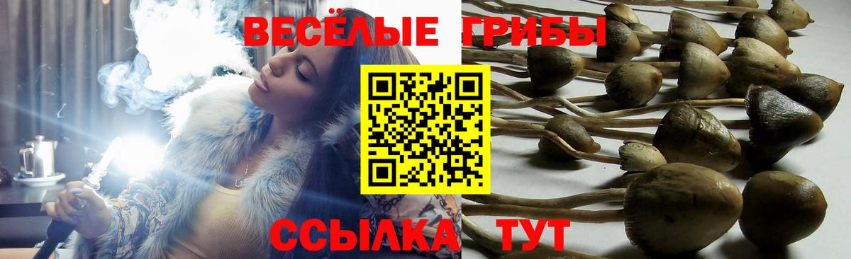 Псилоцибиновые грибы прущие грибы  Вход с VPN  Слободской 
